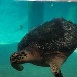 Michelle D Ritchey - @mritchey13 - Instagram