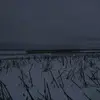 Michelle Ritchey - @michelle.ritchey4 - TikTok