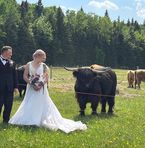 Michelle Ritz - Facebook
