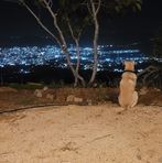 Michelle Ritz - Facebook