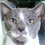 Michelle Ritz King - @mspeedie01 - Instagram