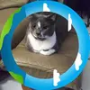 michelleritzking - @michelleritzking - TikTok