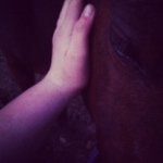 Kåïtłÿñ Mįčhęłłë Røãrk - @barrelracer4life_ - Instagram
