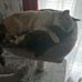 Michelle Roby - Facebook