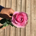 Michelle Roby - @m_photography1357 - Instagram