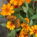 Michele Rodman - Facebook