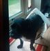 Michelle Roebuck - Facebook