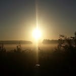 Michelle Rohl - @photographie_m_rhl - Instagram