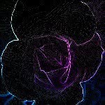 smily - @michellerohl27 - Instagram