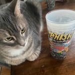 Michelle Ronca - @liv4kidz - Instagram