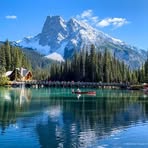 Michelle Ronning - Facebook