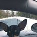Michelle Rossiter - Facebook