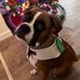 Michelle Rossiter - Facebook