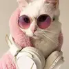 user7318974515692 - @michellerozelle08 - TikTok