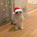 Nansi Michelle Ruano Piril - Facebook