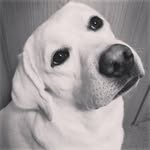 Michelle Ruark - @whiskeygirl1980 - Instagram