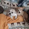 michellerumsey631 - @michellerumsey631 - TikTok