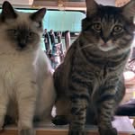 Michelle Herr Rupert - @michellerupert127 - Instagram