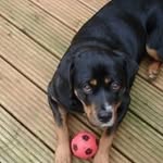 Michelle Rutter - @michellerutter10 - Instagram