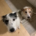 Saga & Michelle - @saga_n_michelle - Instagram