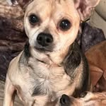 Michelle Wade-Sankey - @mickeywade1031 - Instagram