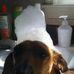 Michelle Sansing - Facebook