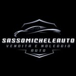 Michele Sasso - @sassomicheleauto - Instagram