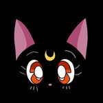 Michelle Sasso - @tinykitten____ - Instagram