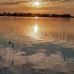 @michellesatterlee68 - Instagram