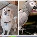 Michelle Schick - Facebook