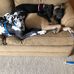 Michelle Schick - Facebook