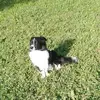 michelleschober87 - @michelleschober87 - TikTok