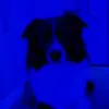 user9632483398888 - @schobermichelleschober - TikTok