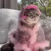 Michelle Schoch - @michelleschoch01 - TikTok