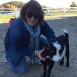 Michele Schoenfeld - @micheleschoenfeld - Instagram
