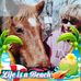 Michelle Schoenfelder - Facebook