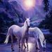 Michelle Schuerman - Facebook