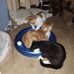 Michele Seager - Facebook