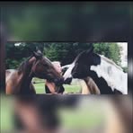 Michelle Seidel - Facebook