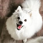 Michelle Selig Milavetz - @mishmil69 - Instagram