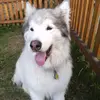 michelle seliga - @michelle.seliga2 - TikTok