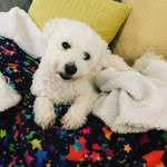 Michelle Settle - @teddy201804 - Instagram