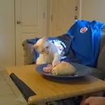 Michelle Shear Kerner - @michelleshearkerner - Instagram