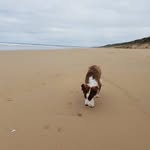 Michelle - @michelle_shears_ - Instagram