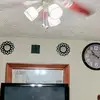 Michelle Shears - @michelle.shears1 - TikTok