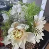 Michelle Shears - @michelle.shears3 - TikTok
