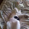 Michelle2sheets - @michelle2sheets - TikTok