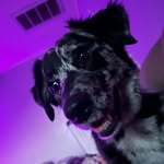 Michelle Shenk - @sea.chelle19 - Instagram