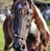 Michelle Shultz - Facebook