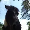 michelleshultz - @michelleshultz5 - TikTok